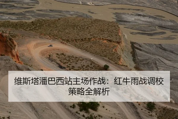 维斯塔潘巴西站主场作战：红牛雨战调校策略全解析