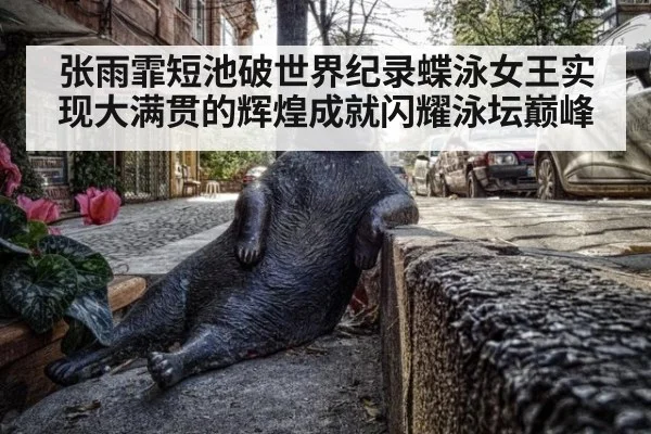 张雨霏短池破世界纪录蝶泳女王实现大满贯的辉煌成就闪耀泳坛巅峰