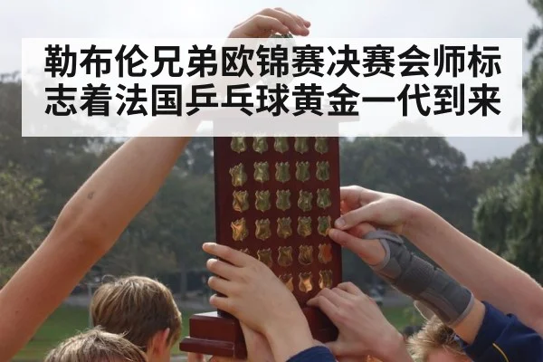 勒布伦兄弟欧锦赛决赛会师标志着法国乒乓球黄金一代到来